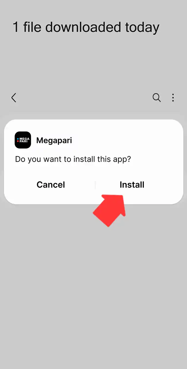 Complete the Megapari APK installation process.