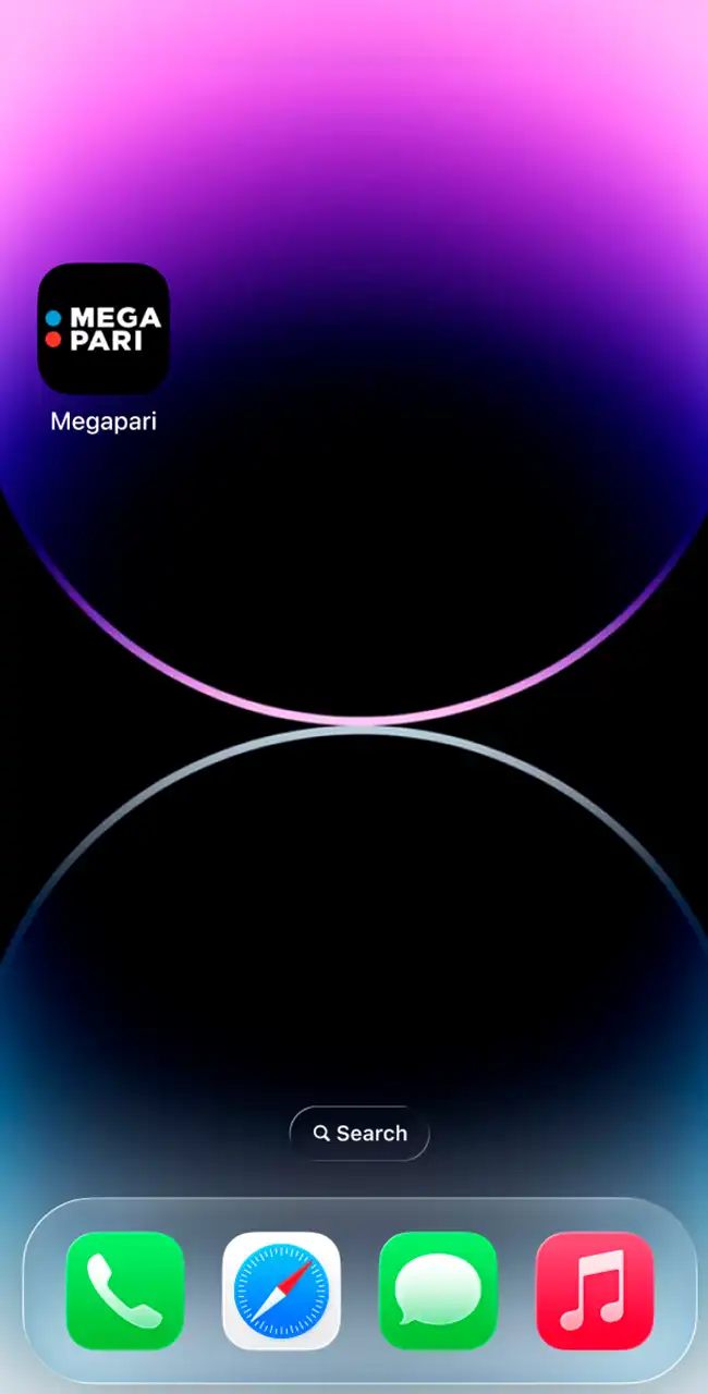 Start the Megapari web app instantly.