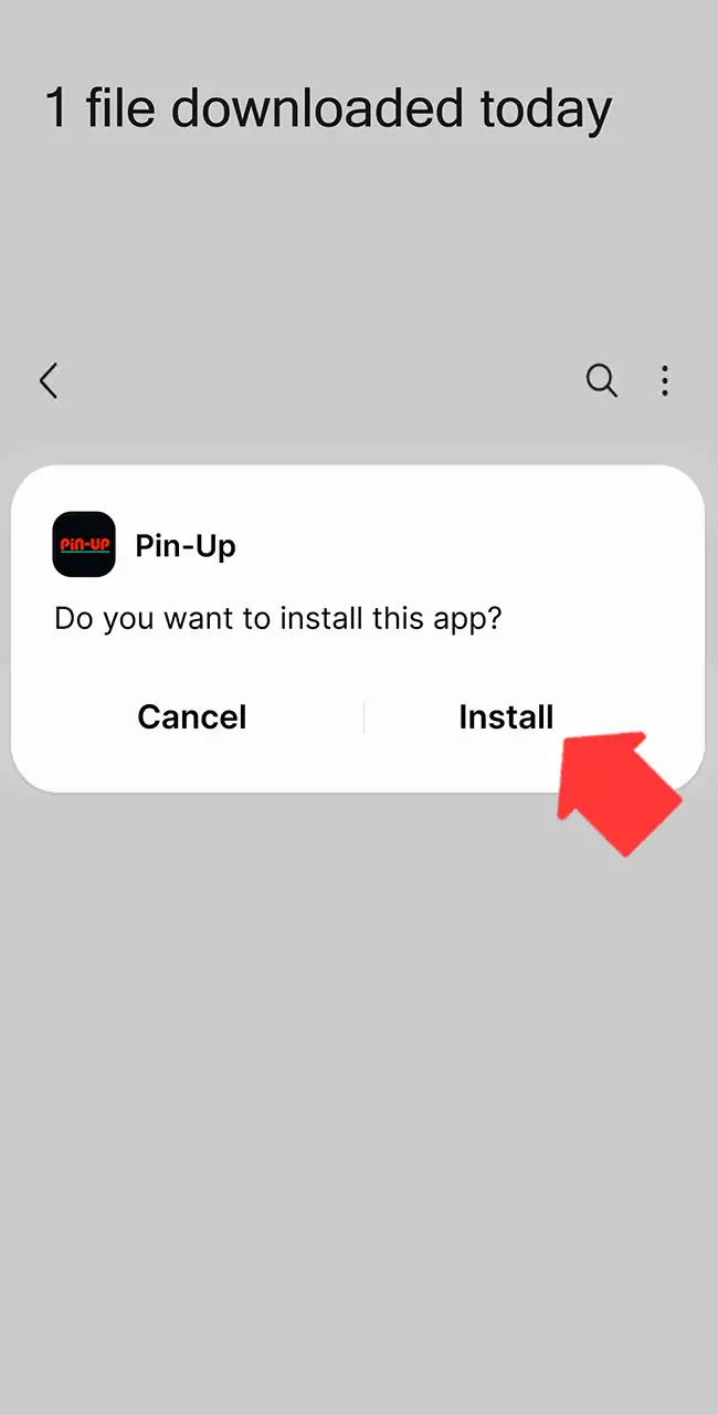 Complete the Pin-Up application setup now.