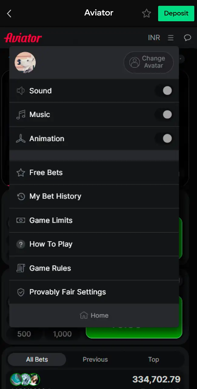 Personalize your Parimatch Aviator game interface.